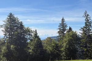 Sommerwanderung 2026