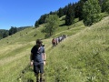 IMG_0848