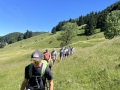 IMG_0854