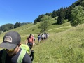 IMG_0855