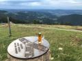 Herbstwanderung_10