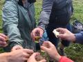 Herbstwanderung_3