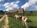 Herbstwanderung_7